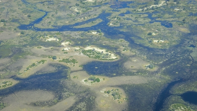 okavango-5028308(1)